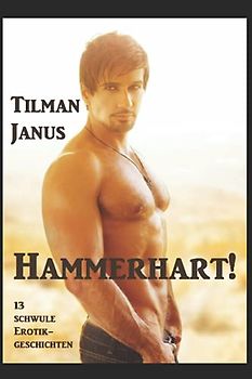 Hammerhart!: 13 schwule Erotikgeschichten