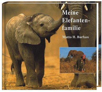 Meine Elefantenfamilie