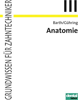 Anatomie