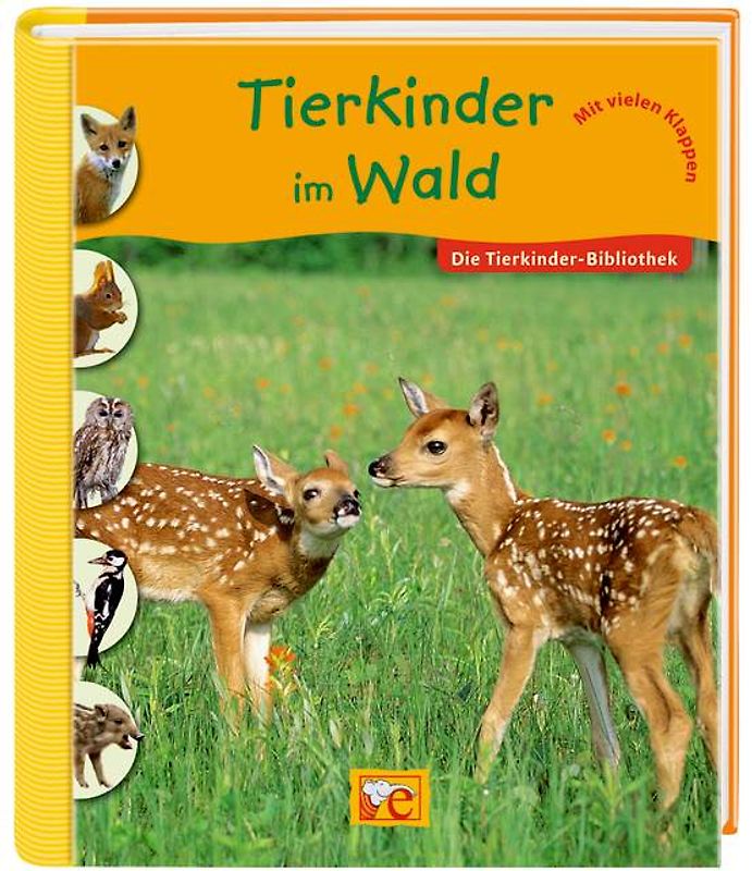 Die Tierkinder-Bibliothek - Tierkinder im Wald