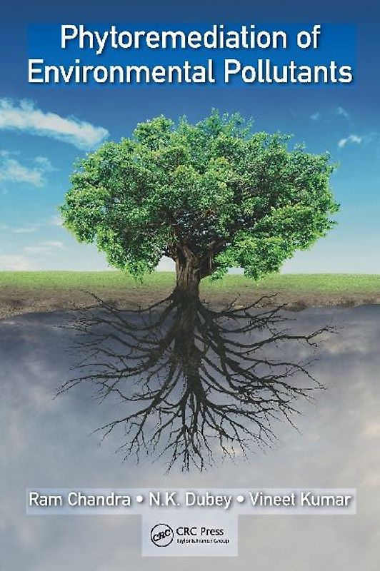 Phytoremediation of Environmental Pollutants