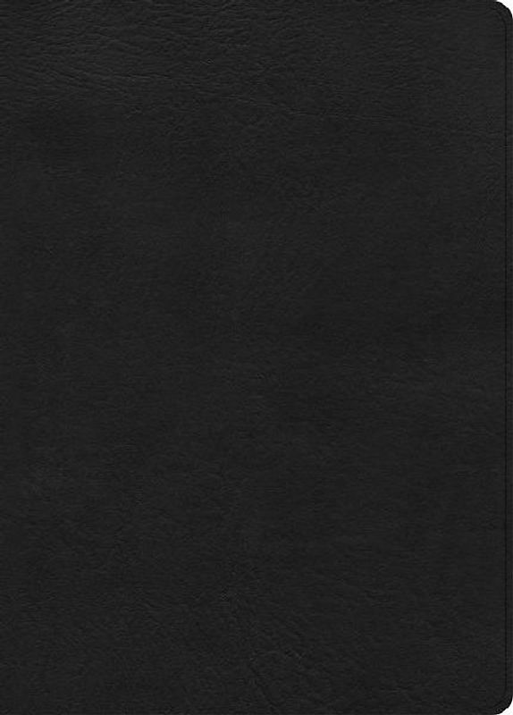 CSB Study Bible, Large Print, Digital Study Edition, Black Leathertouch, Indexed