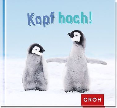 Kopf hoch!