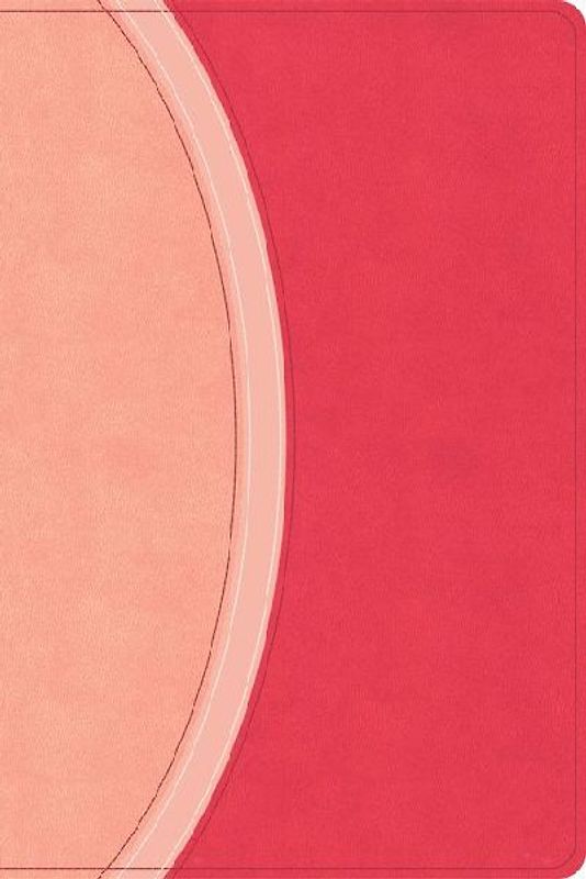 CSB Rainbow Study Bible, Pink Leathertouch (Limited Edition)