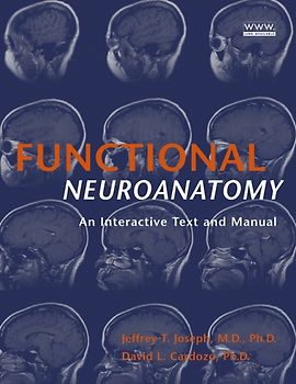 Functional Neuroanatomy