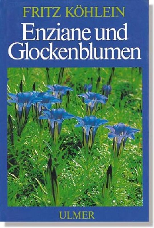 Enziane und Glockenblumen