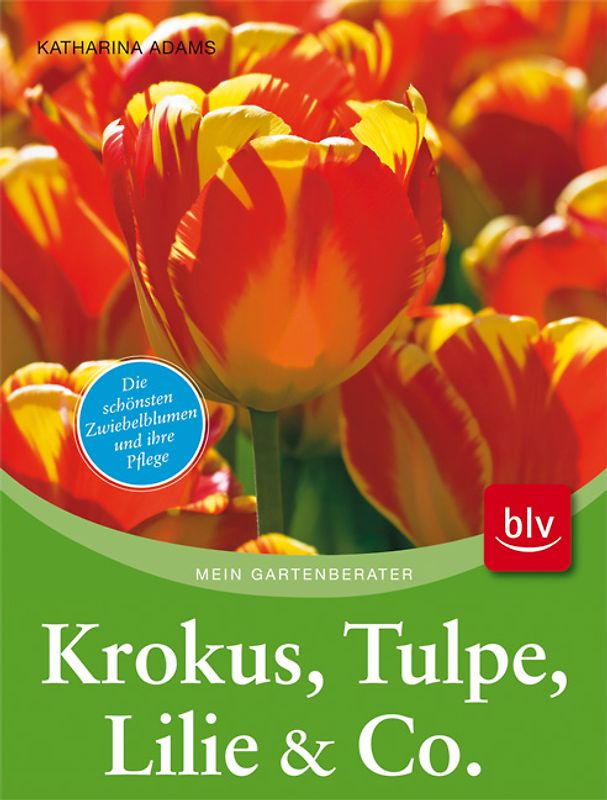 Krokus, Tulpe, Lilie & Co.