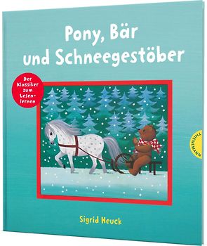 Pony, Bär und Schneegestöber