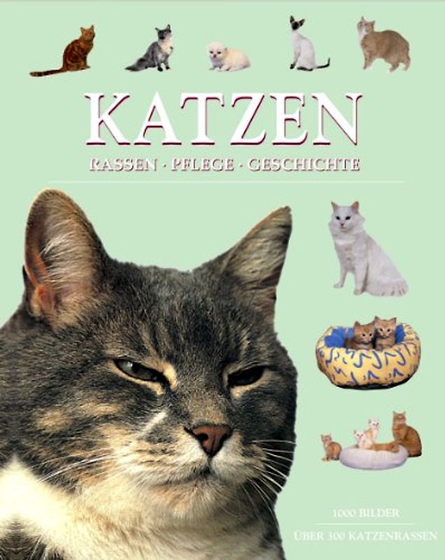 Katzen. Rassen, Pflege, Geschichte - Michael Pollard