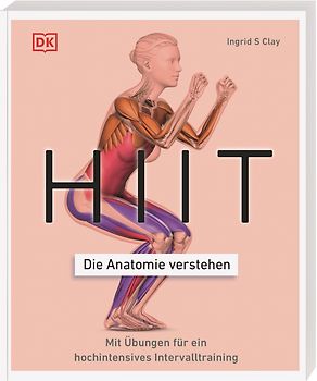 HIIT - Die Anatomie verstehen