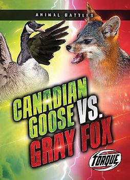 Canada Goose vs. Gray Fox