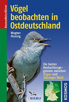 Vögel beobachten in Ostdeutschland