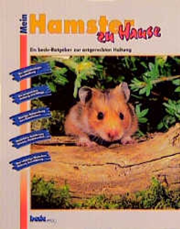 Mein Hamster zu Hause