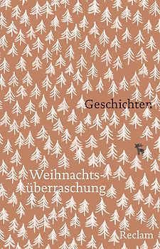 Weihnachtsüberraschung