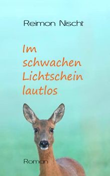 Im schwachen Lichtschein lautlos