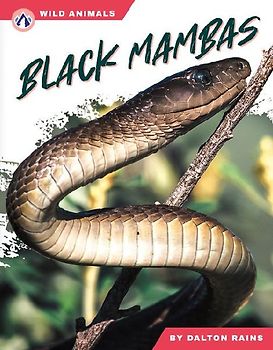 Black Mambas