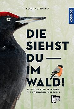 Die siehst du im Wald! 64 Vogelarten erkennen