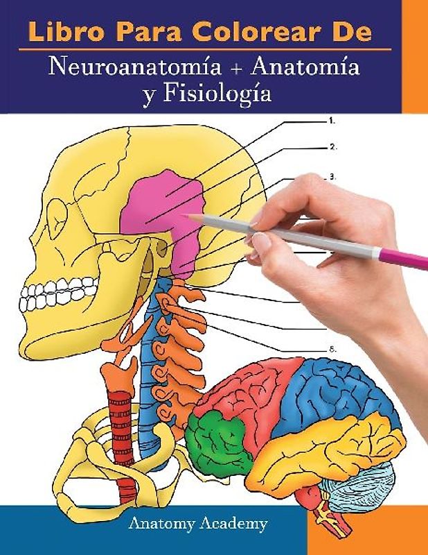 Libro para colorear de Neuroanatomía + Anatomía y Fisiología