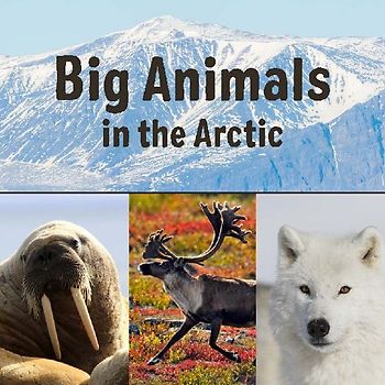 Big Animals in the Arctic