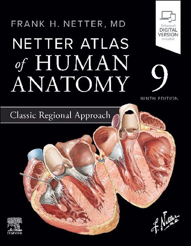 Netter Atlas of Human Anatomy: Classic Regional Approach