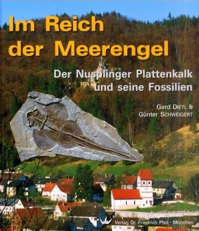 Im Reich der Meerengel