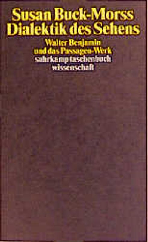 Dialektik des Sehens