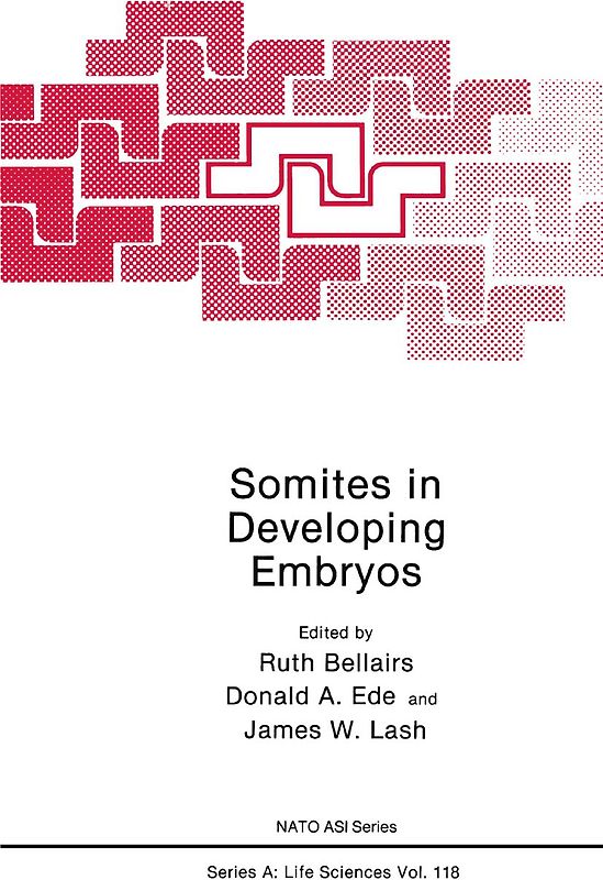 Somites in Developing Embryos