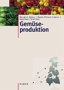 Gemüseproduktion
