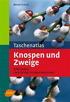 Taschenatlas Knospen und Zweige