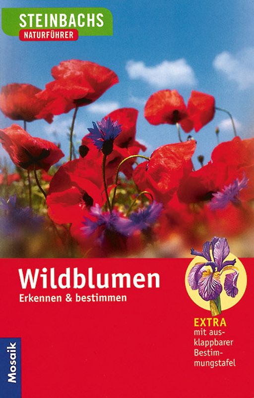 Wildblumen