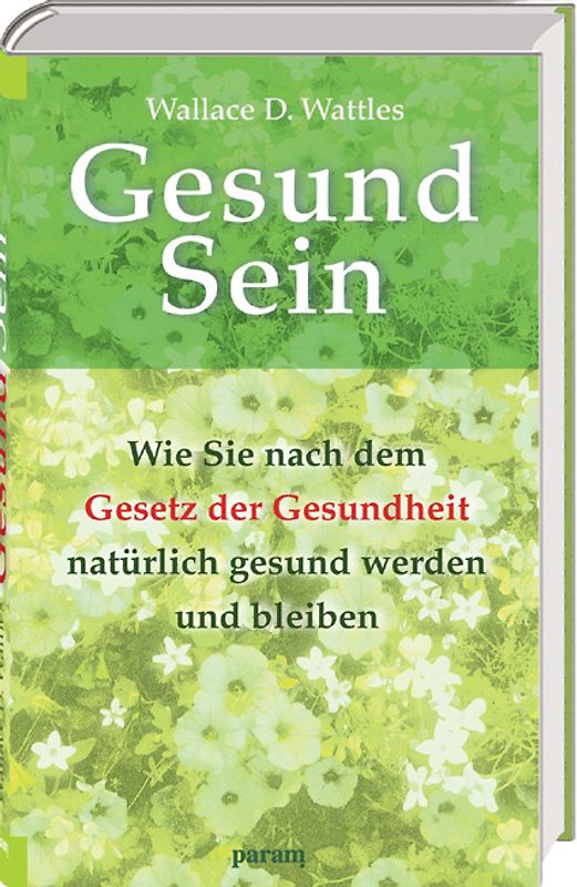 Gesund Sein. Wie Sie nach dem Gesetz der Gesundheit natürlich gesund werden und bleiben