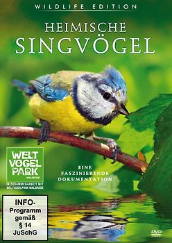 Heimische Singvögel DVD