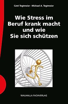Wie Stress im Beruf krank macht und wie Sie sich schützen inkl. E-Book
