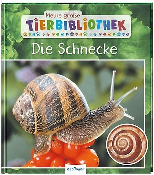 Meine große Tierbibliothek: Die Schnecke