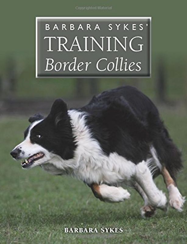Barbara Sykes' Training Border Collies - Sykes, Barbara