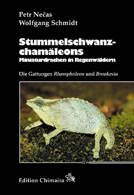 Stummelschwanzchamäleons