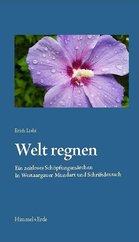 Welt regnen