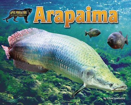 Arapaima