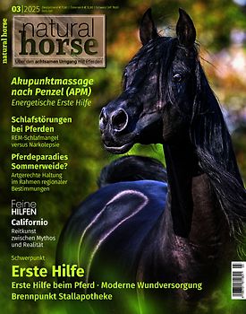 Natural Horse 57