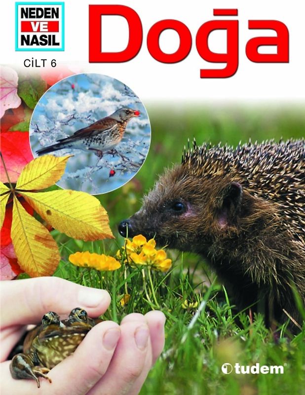 Doḡa / Natur - Türkisch