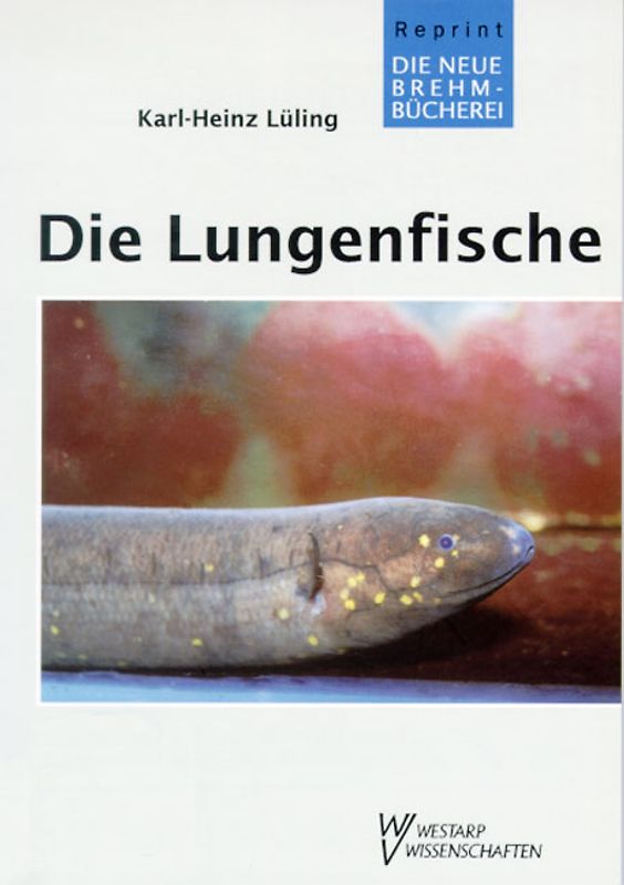 Die Lungenfische und der Südamerikanische Kurzschwanzaal