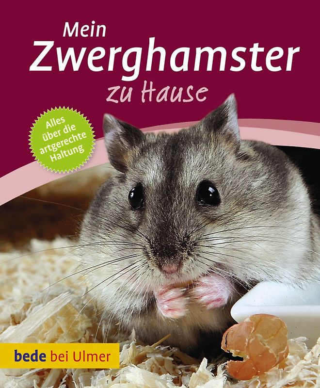 Mein Zwerghamster zu Hause