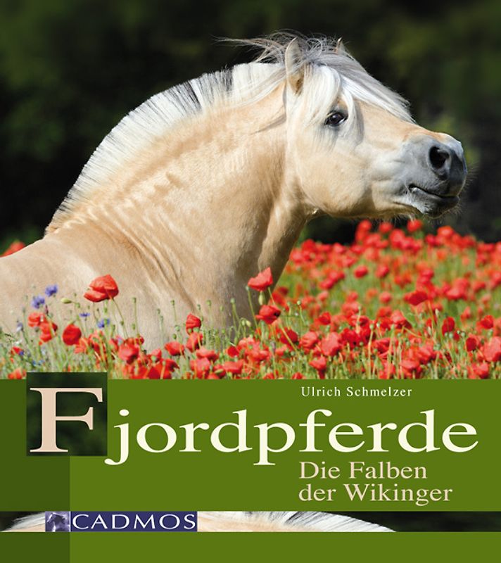 Fjordpferde