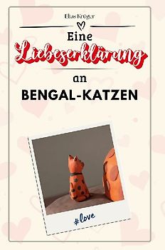 Eine Liebeserklärung an Bengal-Katzen