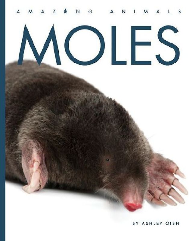 Moles