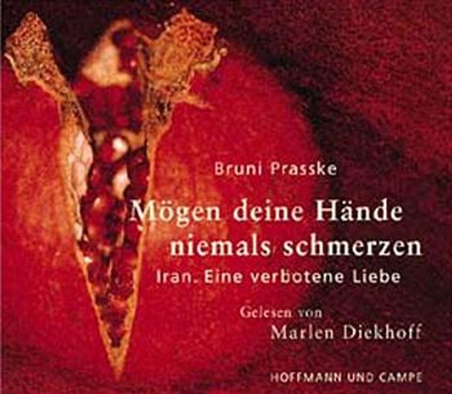 Mögen deine Hände niemals schmerzen. Iran. Eine verbotene Liebe