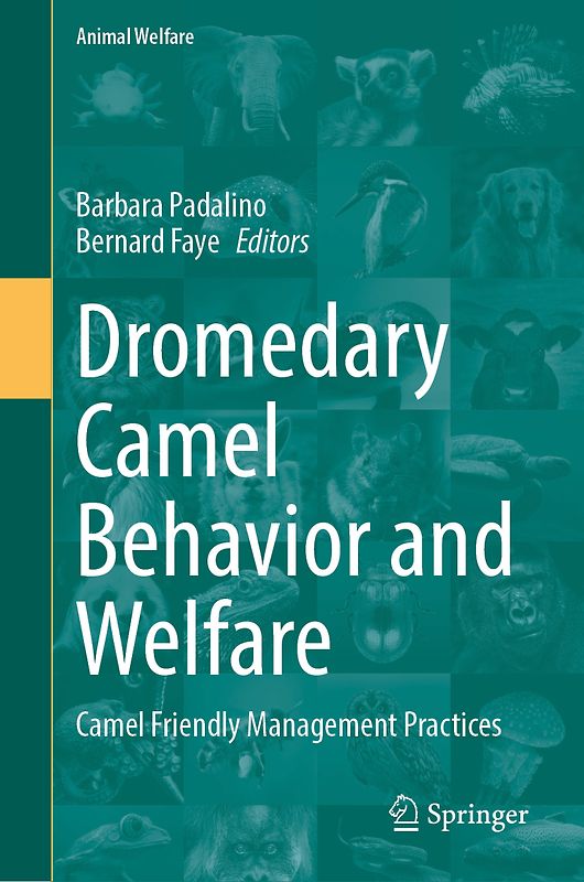 Dromedary Camel Behavior and Welfare