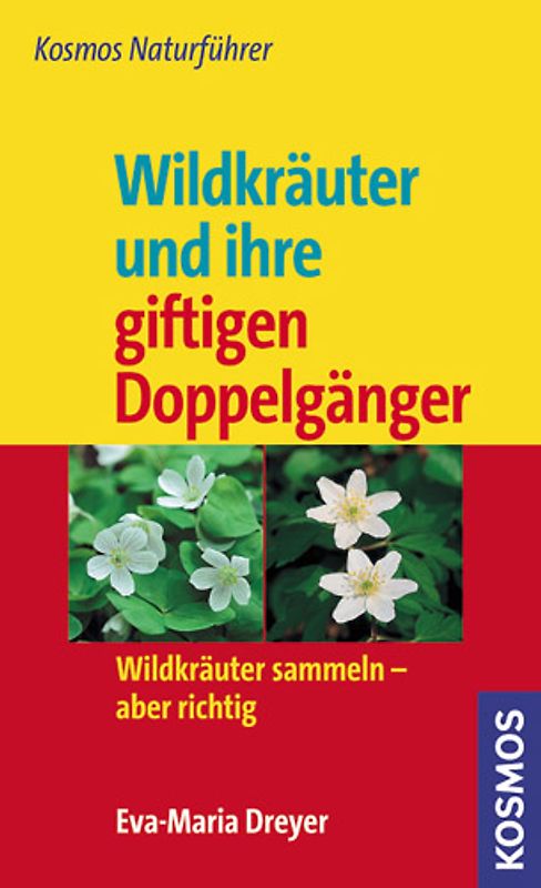 Wildkräuter und ihre giftigen Doppelgänger