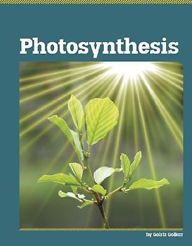 Photosynthesis