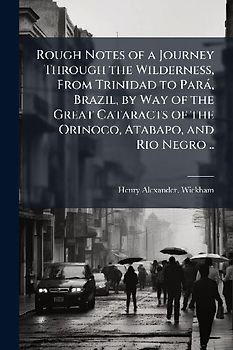 Rough Notes of a Journey Through the Wilderness, From Trinidad to ParaÌ, Brazil, by Way of the Great Cataracts of the Orinoco, Atabapo, and Rio Negro ..